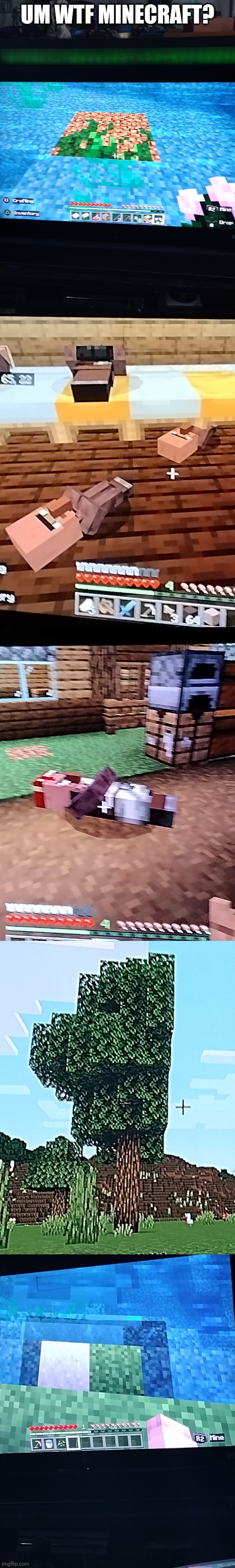 This confused me (Cam note: That's Nintendo Switch for ya.) | UM WTF MINECRAFT? | image tagged in minecraft,wtf | made w/ Imgflip meme maker