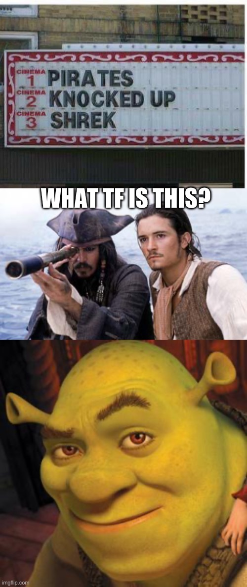 Pirates mashup | WHAT TF IS THIS? | image tagged in pirate telescope,shrek sexy face,movies | made w/ Imgflip meme maker
