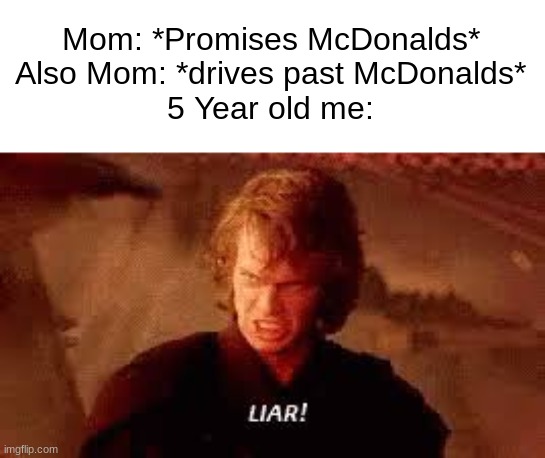 Anakin Liar | Mom: *Promises McDonalds*
Also Mom: *drives past McDonalds*
5 Year old me: | image tagged in anakin liar | made w/ Imgflip meme maker
