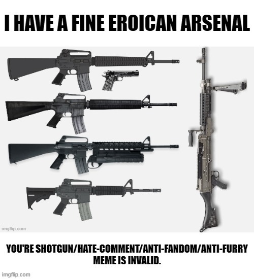 I Have a Fine Eroican Arsenal, Your Argument Is Invalid. (Link @Comment) | image tagged in i have a fine eroican arsenal your argument is invalid,military,your argument is invalid,arsenal | made w/ Imgflip meme maker