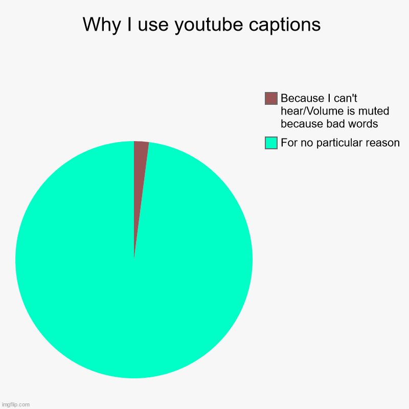 Why I use youtube captions | For no particular reason, Because I can't hear/Volume is muted because bad words | image tagged in charts,pie charts | made w/ Imgflip chart maker