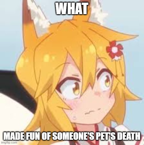 Disturbed Senko | WHAT MADE FUN OF SOMEONE'S PET'S DEATH | image tagged in disturbed senko | made w/ Imgflip meme maker