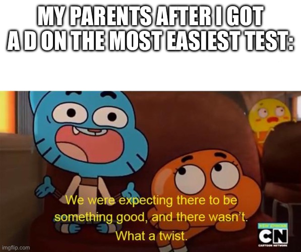 Expecting something good | MY PARENTS AFTER I GOT A D ON THE MOST EASIEST TEST: | image tagged in expecting something good | made w/ Imgflip meme maker