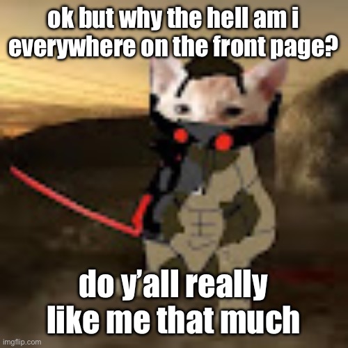 catstream sam | ok but why the hell am i everywhere on the front page? do y’all really like me that much | image tagged in catstream sam | made w/ Imgflip meme maker