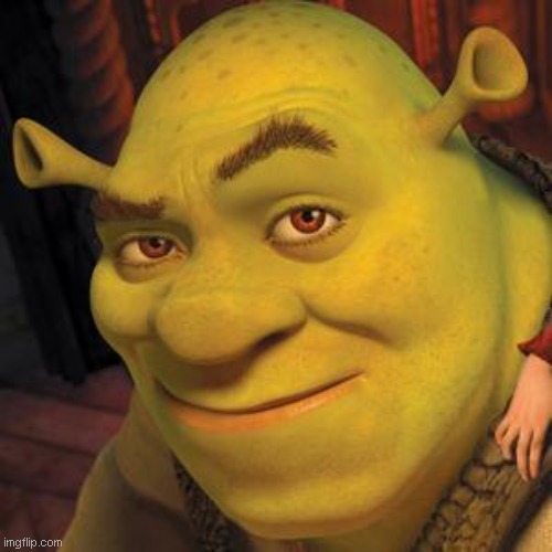 Face reveal #2 | image tagged in shrek sexy face | made w/ Imgflip meme maker