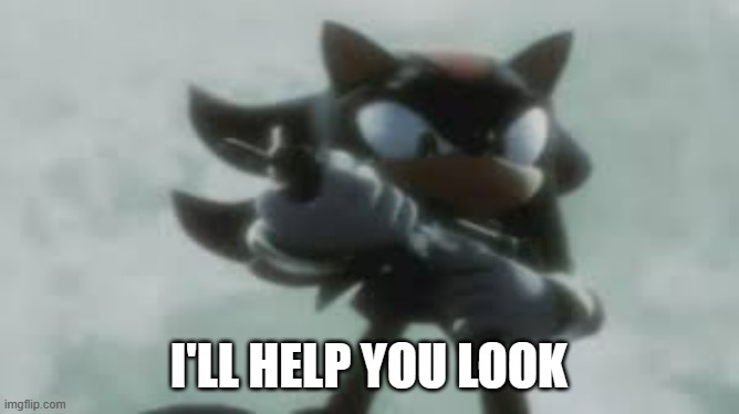 Shadow the hedgehog with a gun | I'LL HELP YOU LOOK | image tagged in shadow the hedgehog with a gun | made w/ Imgflip meme maker