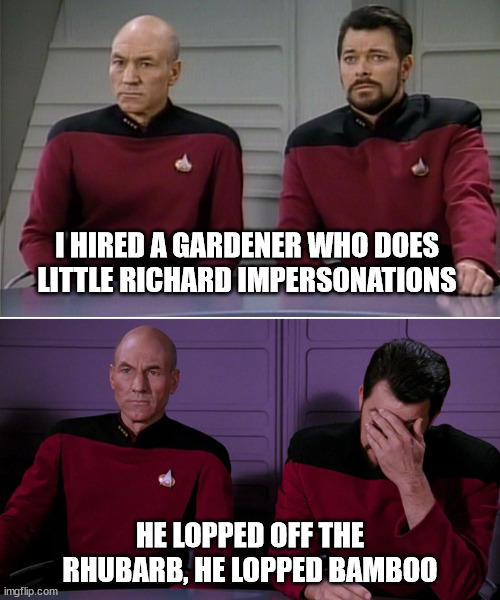 Picard Riker | I HIRED A GARDENER WHO DOES LITTLE RICHARD IMPERSONATIONS; HE LOPPED OFF THE RHUBARB, HE LOPPED BAMBOO | image tagged in picard riker | made w/ Imgflip meme maker