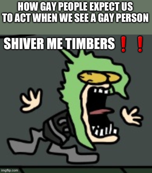 SHIVER ME TIMBERS! | HOW GAY PEOPLE EXPECT US TO ACT WHEN WE SEE A GAY PERSON | image tagged in shiver me timbers | made w/ Imgflip meme maker