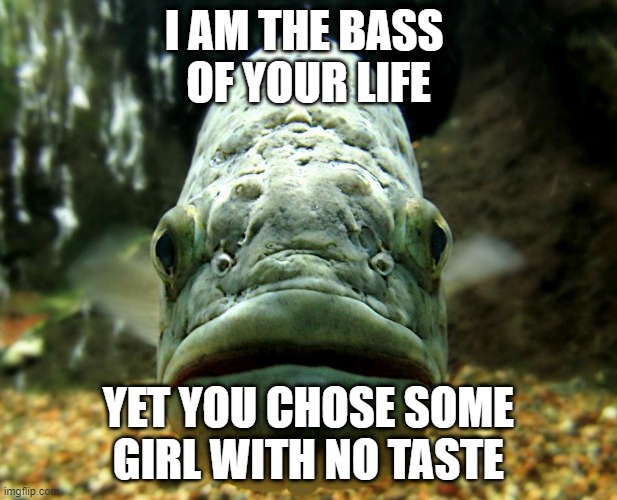 Angy Bass | I AM THE BASS 
OF YOUR LIFE; YET YOU CHOSE SOME
GIRL WITH NO TASTE | image tagged in memes,funny memes,staring fish | made w/ Imgflip meme maker