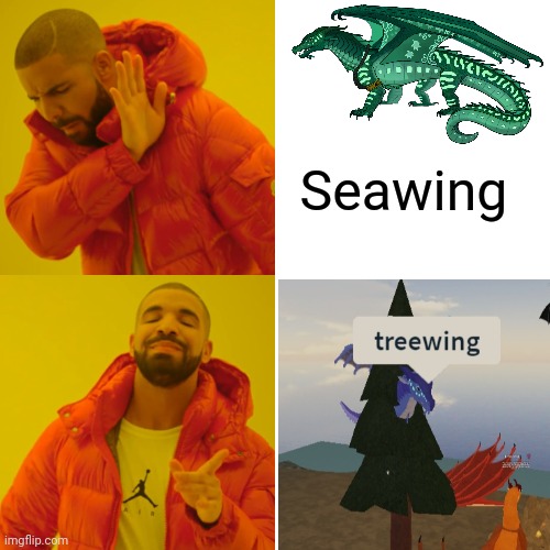 Drake Hotline Bling Meme | Seawing | image tagged in memes,drake hotline bling | made w/ Imgflip meme maker