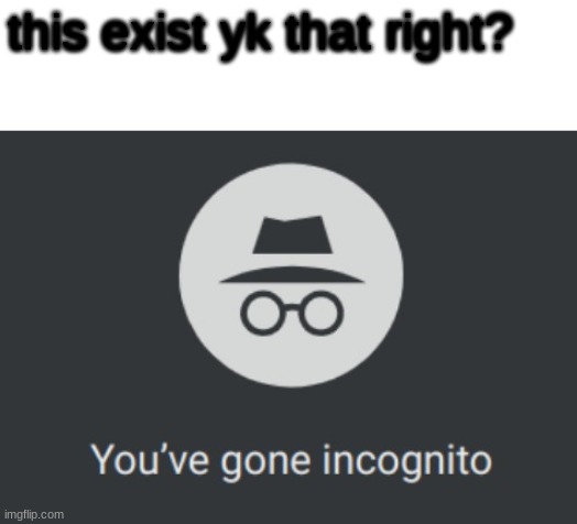 You've gone incognito | this exist yk that right? | image tagged in you've gone incognito | made w/ Imgflip meme maker