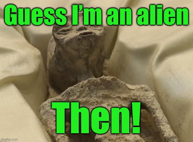 Mexican alien | Guess I’m an alien Then! | image tagged in mexican alien | made w/ Imgflip meme maker