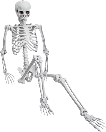 Full Body Skeleton Blank Meme Template