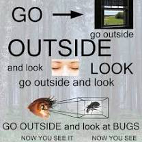 High Quality Go outside and look at bugs Blank Meme Template