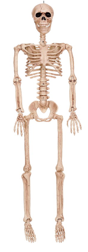 Skeleton Decoration Blank Meme Template