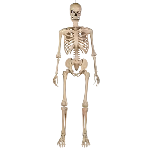 High Quality Home Accents Holiday 5 ft. Ultra Poseable Skeleton with Glowing Blank Meme Template