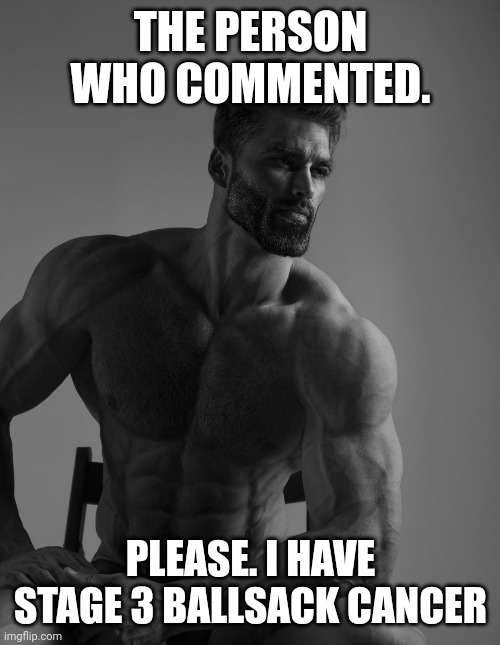 Giga Chad | THE PERSON WHO COMMENTED. PLEASE. I HAVE STAGE 3 BALLSACK CANCER | image tagged in giga chad | made w/ Imgflip meme maker
