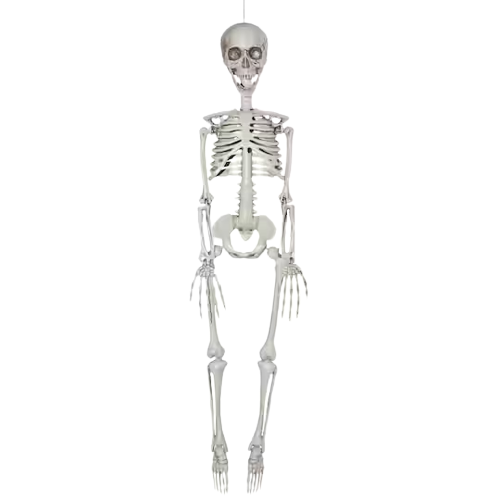 Full Body Skeleton Blank Meme Template