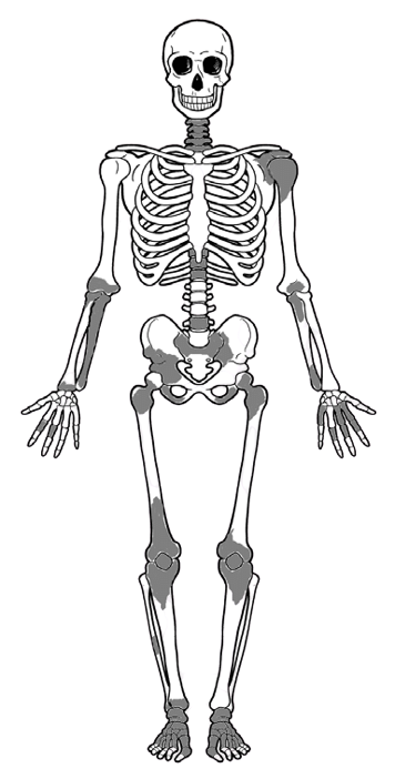 Skeleton Full Body Blank Meme Template