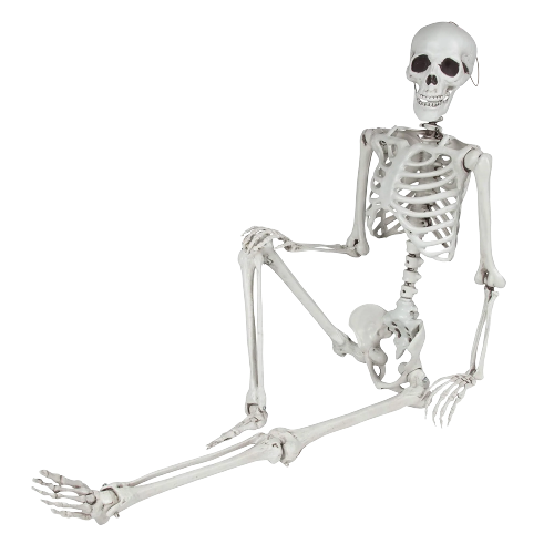 Full Body Skeleton Blank Meme Template