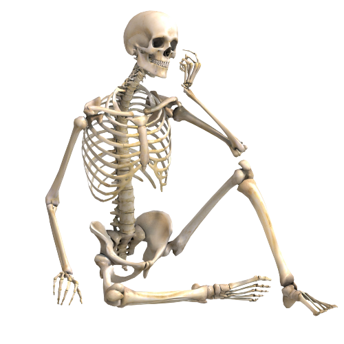 Full Body Skeleton Blank Meme Template