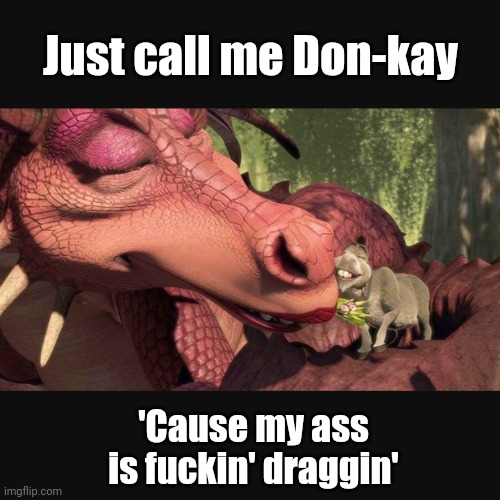 My ass is dragging | Just call me Don-kay; 'Cause my ass is fuckin' draggin' | image tagged in shrek,donkey,tired,dragon,pun,meme | made w/ Imgflip meme maker