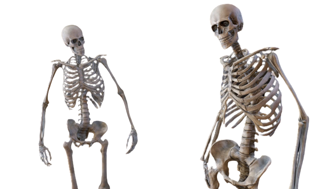 Two Skeletons Blank Meme Template