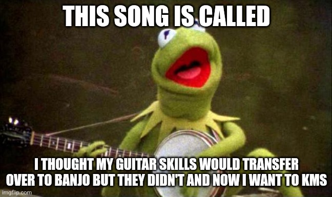 BANJERR D: | THIS SONG IS CALLED; I THOUGHT MY GUITAR SKILLS WOULD TRANSFER OVER TO BANJO BUT THEY DIDN'T AND NOW I WANT TO KMS | image tagged in why kermit banjo | made w/ Imgflip meme maker