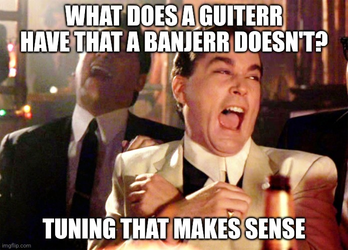 Dumb banjerr tuning | WHAT DOES A GUITERR HAVE THAT A BANJERR DOESN'T? TUNING THAT MAKES SENSE | image tagged in memes,good fellas hilarious | made w/ Imgflip meme maker