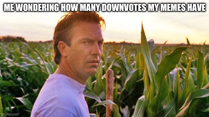 Thinking Downvotes | ME WONDERING HOW MANY DOWNVOTES MY MEMES HAVE | image tagged in field of dreams,thinking,downvote,downvotes | made w/ Imgflip meme maker