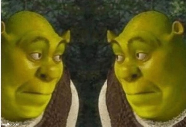 Shrek-Double-look | image tagged in shrek-double-look | made w/ Imgflip meme maker