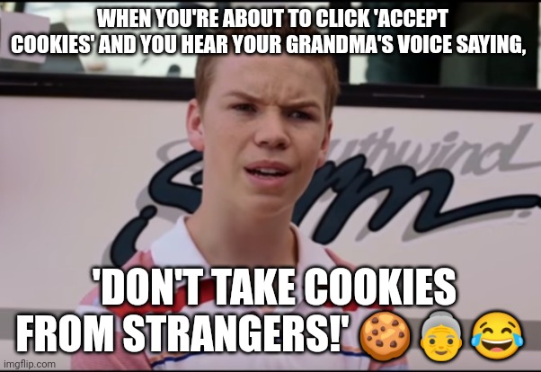 You Guys are Getting Paid | WHEN YOU'RE ABOUT TO CLICK 'ACCEPT COOKIES' AND YOU HEAR YOUR GRANDMA'S VOICE SAYING, 'DON'T TAKE COOKIES FROM STRANGERS!' 🍪👵😂 | image tagged in you guys are getting paid | made w/ Imgflip meme maker