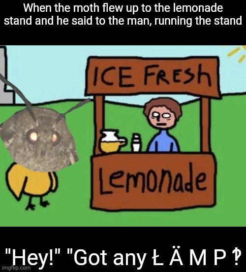 When the moth flew up to the lemonade stand and he said to the man, running the stand; "Hey!" "Got any Ł Ä M P ‽ | image tagged in moth,i love lamp,moth song,lamp,lamp brother | made w/ Imgflip meme maker