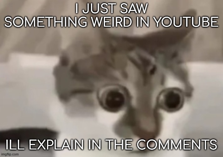 JTOJEDJNGJWSJGSJNGSIJSKLNBNSUJSKNASJGISRLKFGMNSDFOIGIISDPOGJSRGFSDGISGJUSDTGO9SDFIGTOJSDUTGPISRJTGISRITOSJRTGJSRPKRTGJSRJTGSRTGJ | I JUST SAW SOMETHING WEIRD IN YOUTUBE; ILL EXPLAIN IN THE COMMENTS | image tagged in bombastic side eye cat | made w/ Imgflip meme maker