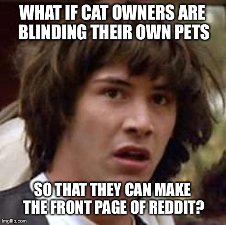 Conspiracy Keanu Meme | WHAT IF CAT OWNERS ARE BLINDING THEIR OWN PETS SO THAT THEY CAN MAKE THE FRONT PAGE OF REDDIT? | image tagged in memes,conspiracy keanu,AdviceAnimals | made w/ Imgflip meme maker