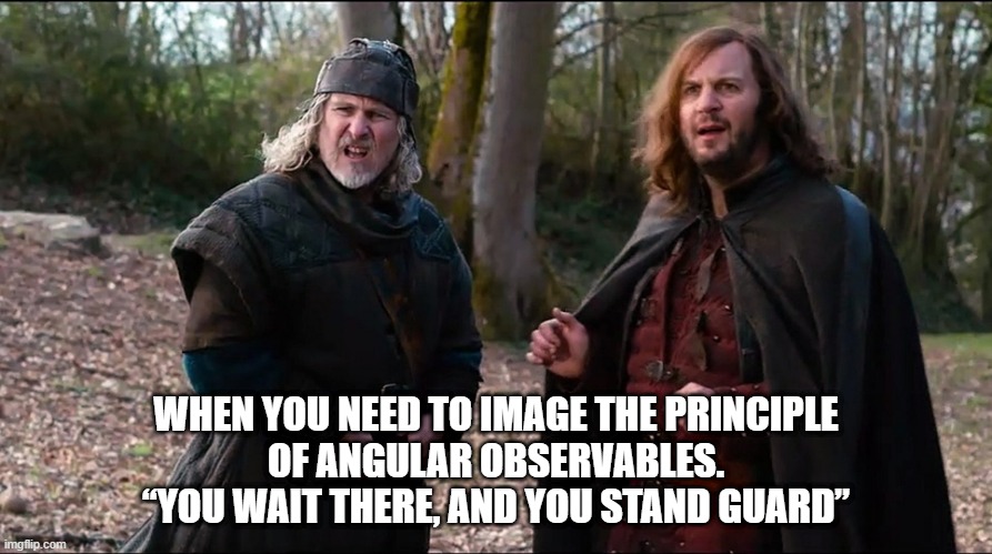 Kaamelott - Perceval and Karadoc | WHEN YOU NEED TO IMAGE THE PRINCIPLE
OF ANGULAR OBSERVABLES.
“YOU WAIT THERE, AND YOU STAND GUARD” | image tagged in kaamelott - perceval and karadoc | made w/ Imgflip meme maker