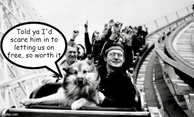 Dog roller coaster ride | Told ya I'd scare him in to letting us on free, so worth it | image tagged in woof,ruff | made w/ Imgflip meme maker