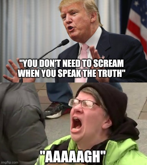 "YOU DON'T NEED TO SCREAM WHEN YOU SPEAK THE TRUTH"; "AAAAAGH" | image tagged in trump huge,screaming libtard | made w/ Imgflip meme maker
