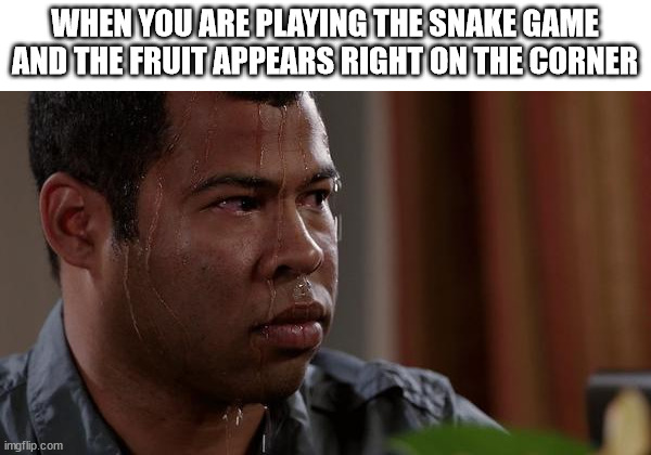 sweating bullets | WHEN YOU ARE PLAYING THE SNAKE GAME AND THE FRUIT APPEARS RIGHT ON THE CORNER | image tagged in sweating bullets,memes,funny,snake | made w/ Imgflip meme maker