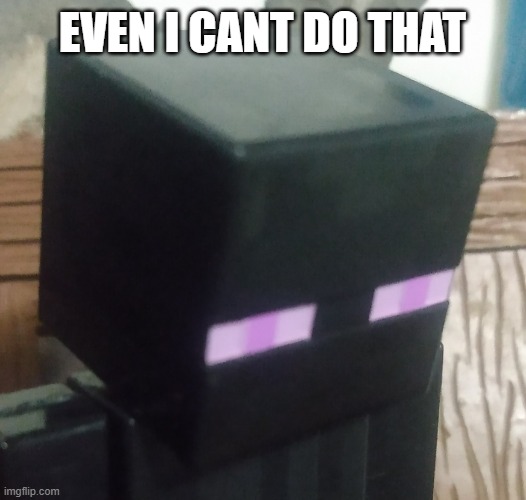 Enderman stare | EVEN I CANT DO THAT | image tagged in enderman stare | made w/ Imgflip meme maker