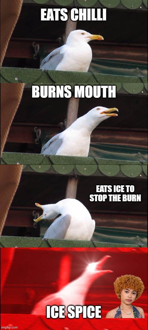 Inhaling Seagull | EATS CHILLI; BURNS MOUTH; EATS ICE TO STOP THE BURN; ICE SPICE | image tagged in memes,inhaling seagull,ice spice | made w/ Imgflip meme maker