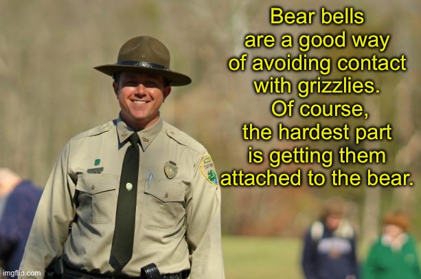 Be safe | Bear bells are a good way of avoiding contact with grizzlies.  Of course, the hardest part is getting them attached to the bear. | image tagged in dad joke | made w/ Imgflip meme maker