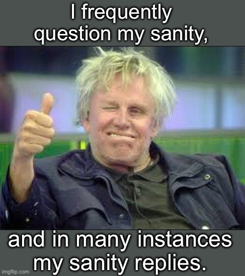 Sanity | I frequently question my sanity, and in many instances my sanity replies. | image tagged in gary busey approves | made w/ Imgflip meme maker