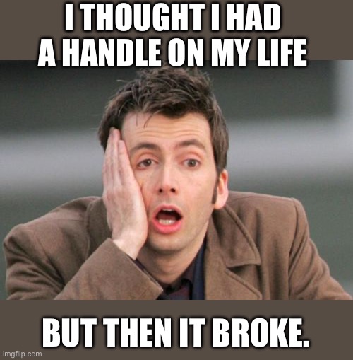 Handle it | I THOUGHT I HAD A HANDLE ON MY LIFE; BUT THEN IT BROKE. | image tagged in face palm | made w/ Imgflip meme maker