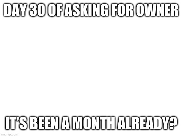 DAY 30 OF ASKING FOR OWNER; IT’S BEEN A MONTH ALREADY? | made w/ Imgflip meme maker