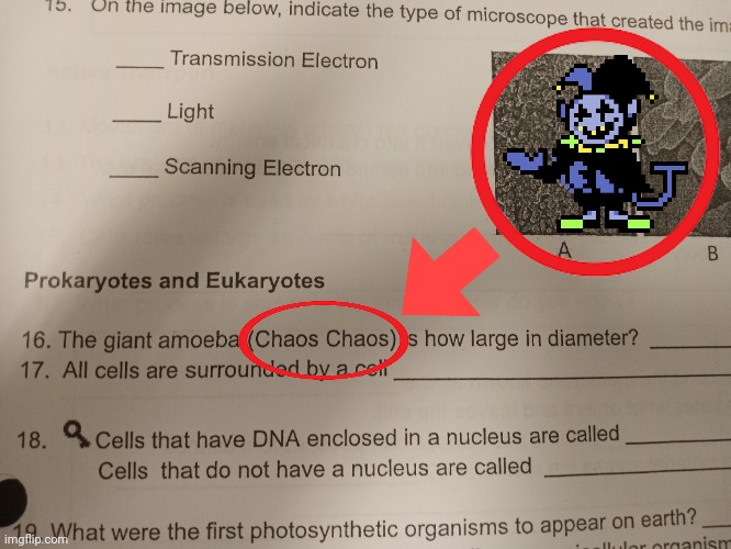 Doing this assignment already makes me feel chaotic. | image tagged in undertale,deltarune,memes | made w/ Imgflip meme maker