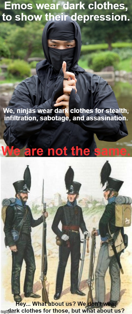 I think I got the concept wrong | Emos wear dark clothes, to show their depression. We, ninjas wear dark clothes for stealth, infiltration, sabotage, and assasination. We are not the same. Hey... What about us? We don't wear dark clothes for those, but what about us? | image tagged in memes,funny,napoleon,stuff,why did i make this | made w/ Imgflip meme maker