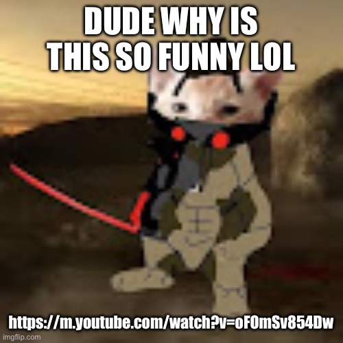 catstream sam | DUDE WHY IS THIS SO FUNNY LOL; https://m.youtube.com/watch?v=oFOmSv854Dw | image tagged in catstream sam | made w/ Imgflip meme maker