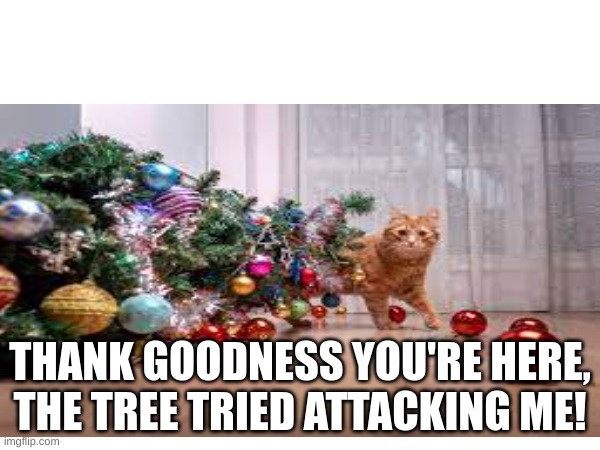 THANK GOODNESS YOU'RE HERE, THE TREE TRIED ATTACKING ME! | image tagged in funny cats | made w/ Imgflip meme maker