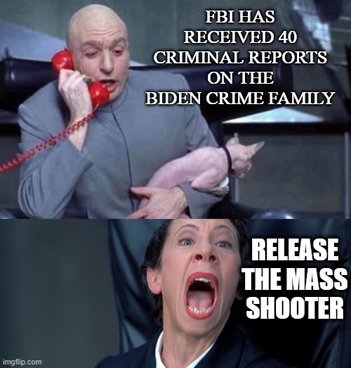 Dr Evil and Frau | FBI HAS RECEIVED 40 CRIMINAL REPORTS ON THE BIDEN CRIME FAMILY; RELEASE THE MASS SHOOTER | image tagged in dr evil and frau | made w/ Imgflip meme maker